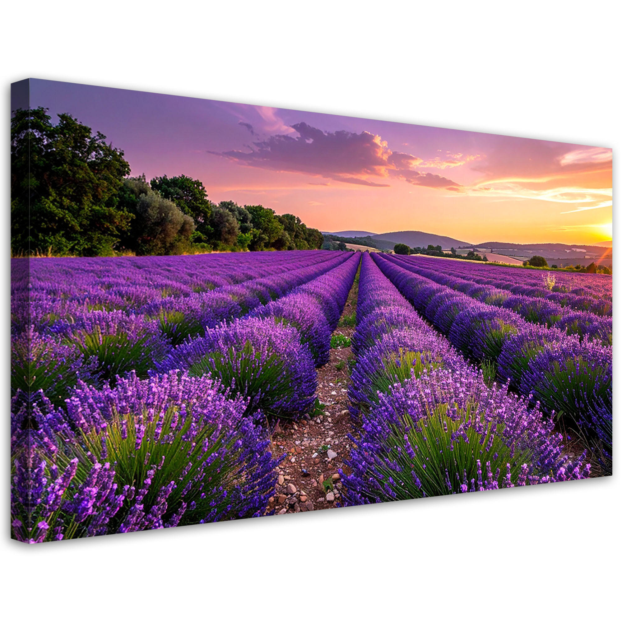 LEINWANDBILD Landschaften 120x60cm - Lila, Textil (120/60cm) - Feeby