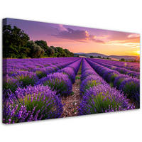 LEINWANDBILD Landschaften 120x60cm - Lila, Textil (120/60cm) - Feeby