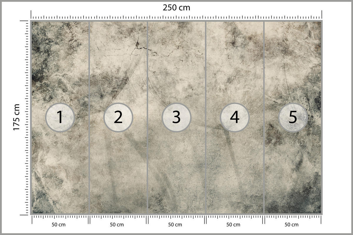 FOTOTAPETE für Wohnzimmer Löwenzahnsamen Beton Abstraktion Retro 250x175 - Beige/Braun, Papier (250/175cm) - Muralo