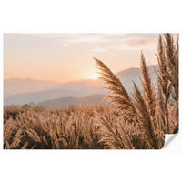 TAPETE - Gras - Feld - Sonne - Natur - 300x200 cm - Sandfarben, Papier (300/200cm) - OnlyWow