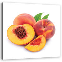 WANDBILD obst boching - Orange, Textil (50/50cm) - Feeby