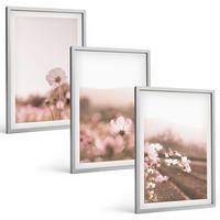 BILDER SET 3er Set - 40x60 cm Silberner Rahmen - Sommerlandschaften mit Wildblumenwiesen - Silberfarben, Kunststoff (40/60cm) - TULUP