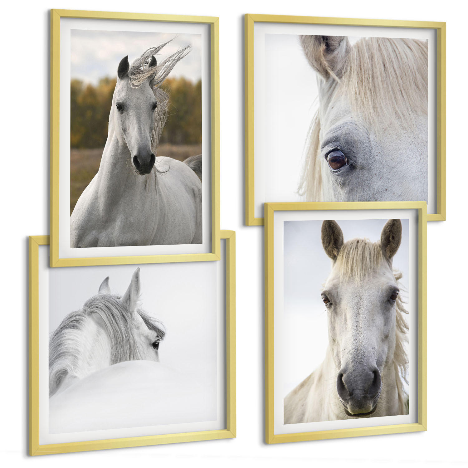 BILDER SET 4er Set - 50x50 cm & 40x60 cm Goldrahmen - Weiße Pferde - Goldfarben, Kunststoff (50/50cm) - TULUP