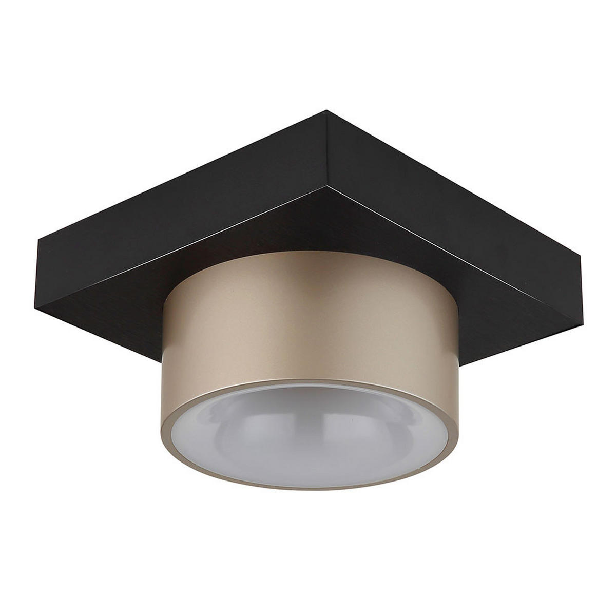 DECKENLEUCHTE RAYMOND METALL SCHWARZ MATT CHAMPAGNER LED - Schwarz, Metall (20/20/13cm) - Globo Lighting