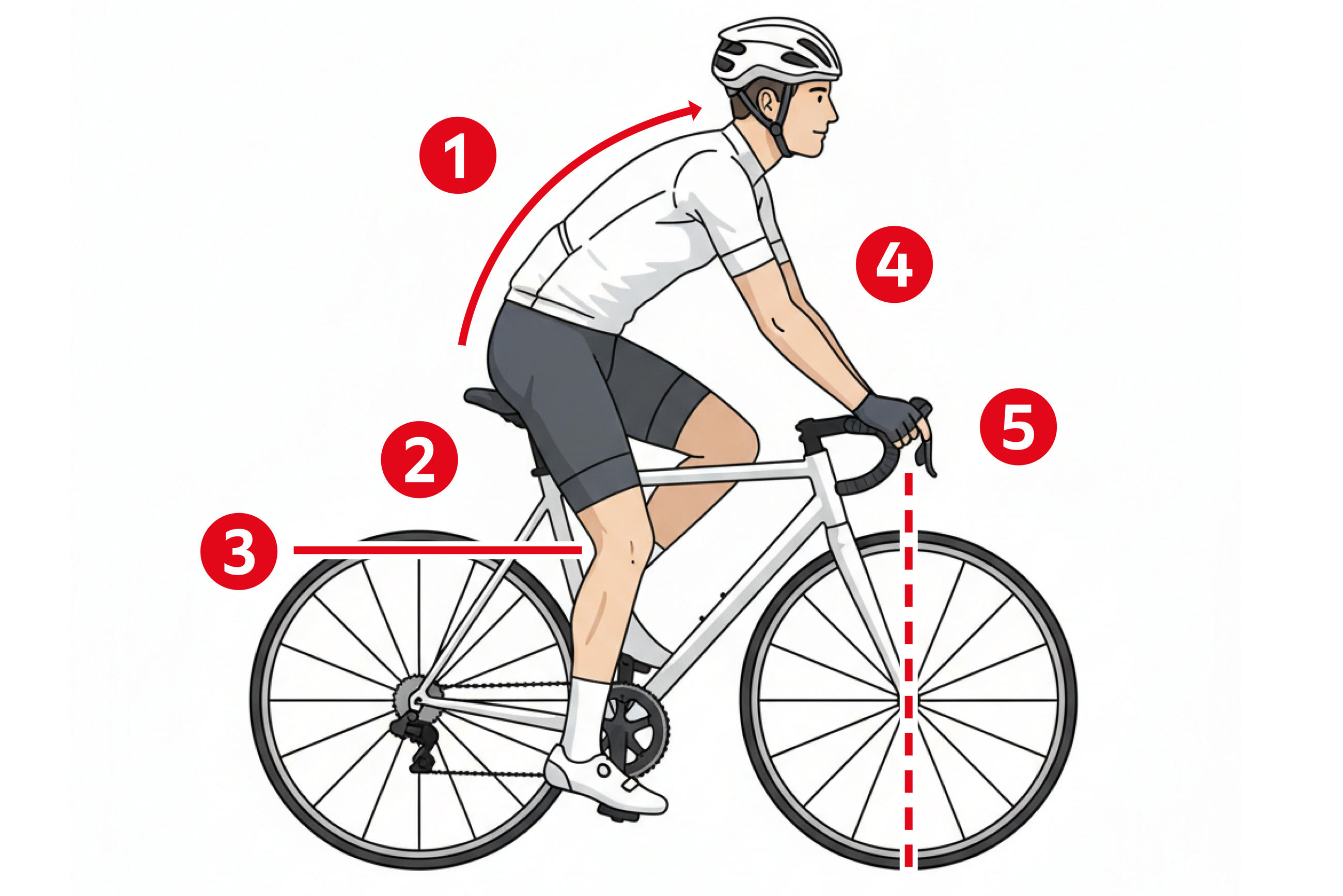 Illustration eines Radfahrers auf Rennrad mit nummerierten Positionen für Sitz‑ und Lenker‑Einstellungen.