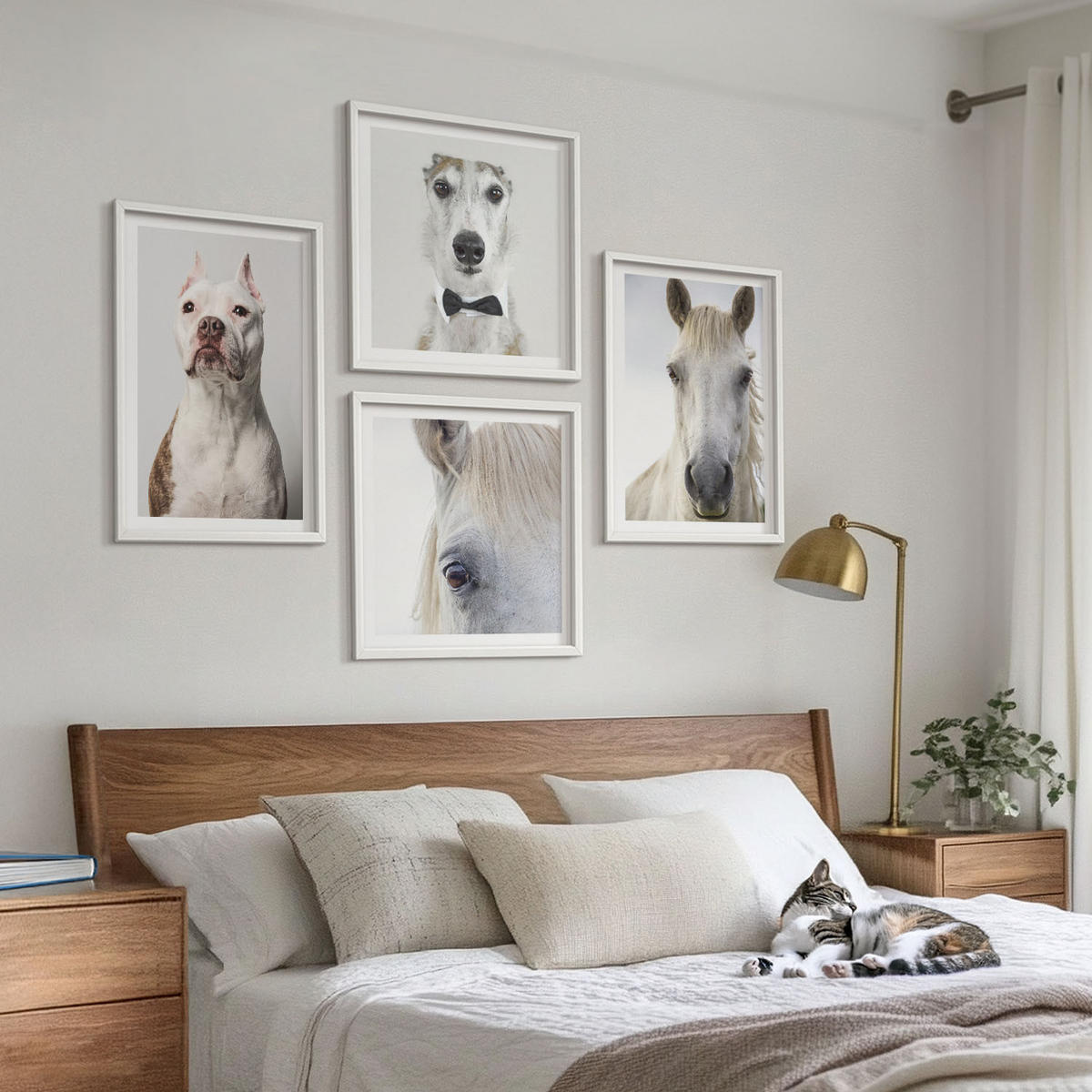 WANDBILDER 4er-Set - 50x50 cm & 40x60 cm Weißer Rahmen - Elegante Porträts von Hunden und Pferden - Weiß, Kunststoff (50/50cm) - ArtPrintCave