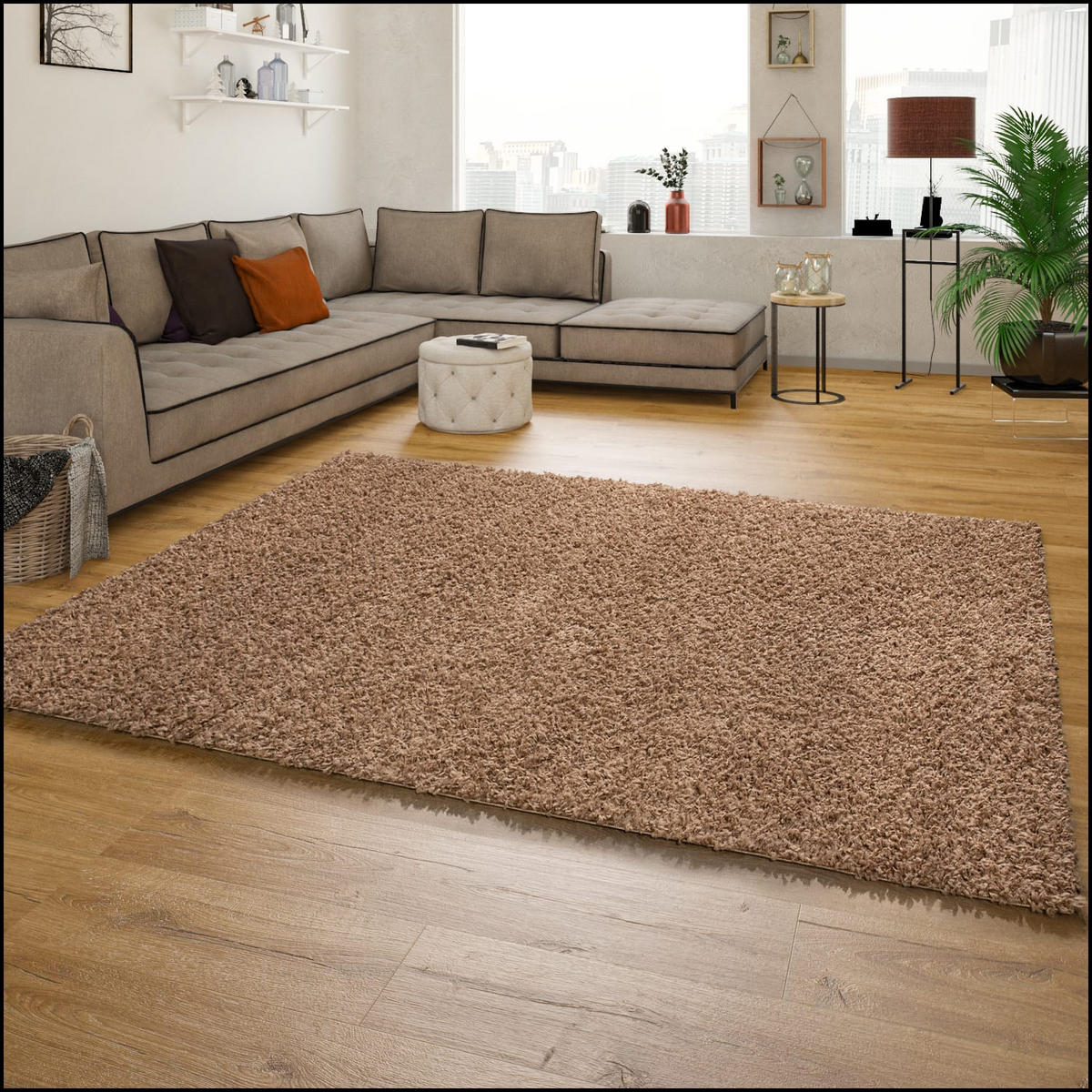 HOCHFLORTEPPICH 60/100 cm Sky 250 - Beige, Kunststoff (60/100cm) - Paco Home