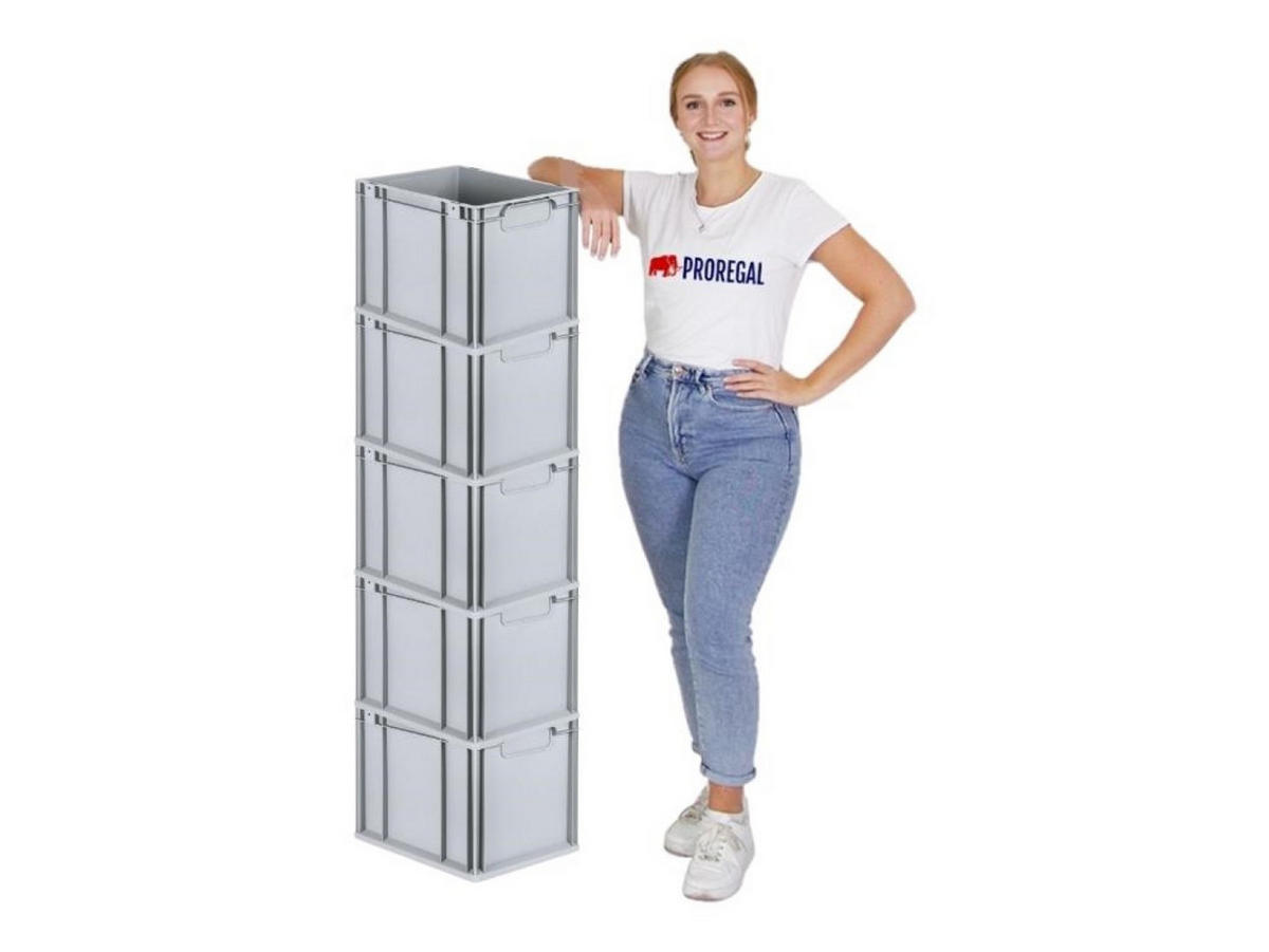 EUROBOX 5x Nextgen Economy Griffe Geschlossen 32x30x40cm 30 Liter - Grau, Kunststoff (30/32/40cm) - PROREGAL