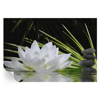 FOTOTAPETE 152x104 cm - Lilienmeditation - Weiß, Textil (152/104cm) - Wallfluent