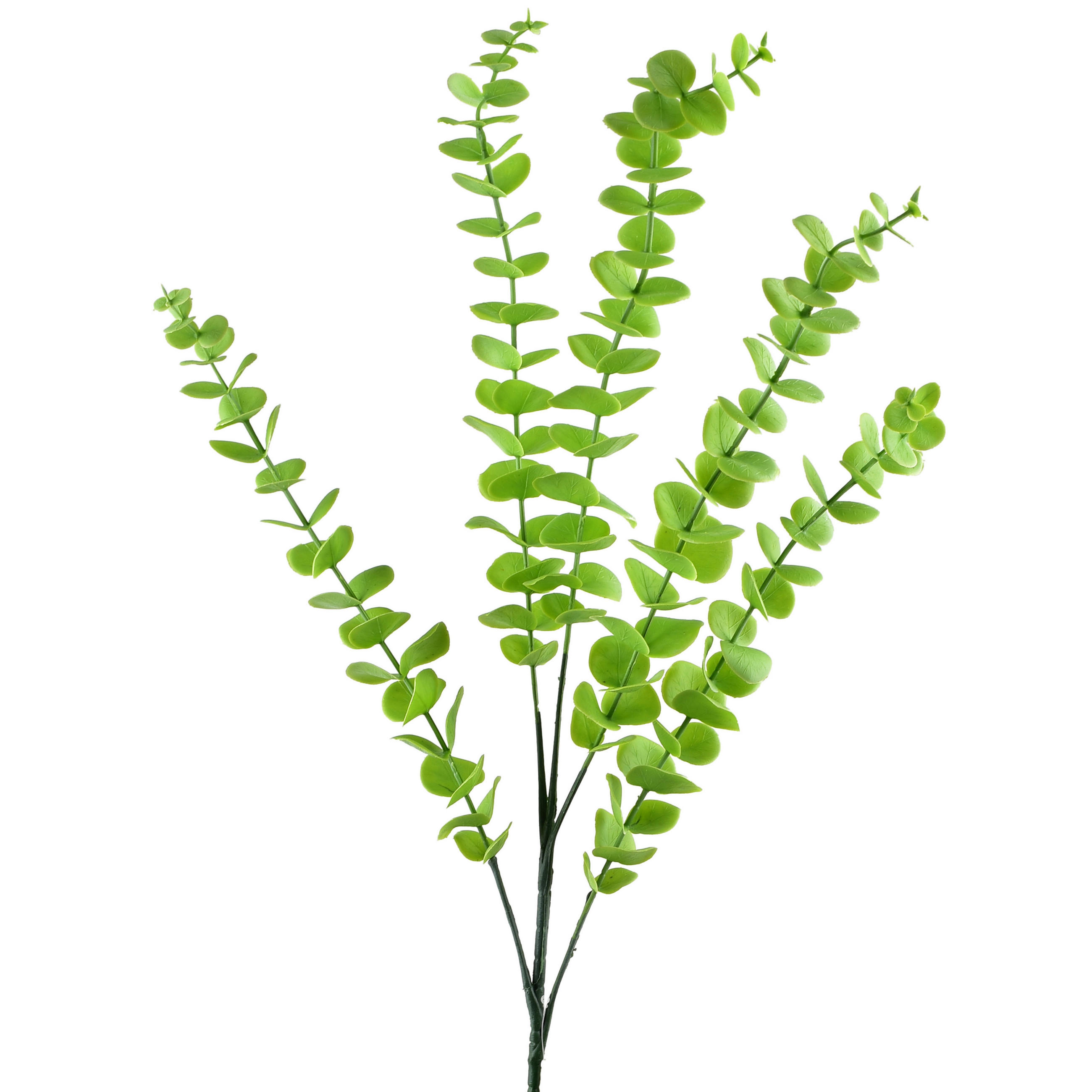 UMELÁ EUKALIPTOVÁ HALÚZKA Viridis 80 cm - zelená, plast (80cm) - Mondex