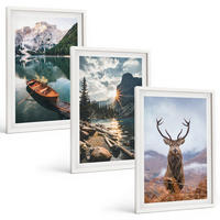 BILDER SET 3er Set - 40x60 cm Weißer Rahmen - Bergsee, Bootsfahrt, Sonnenuntergang, Hirsche - Weiß, Kunststoff (40/60cm) - TULUP