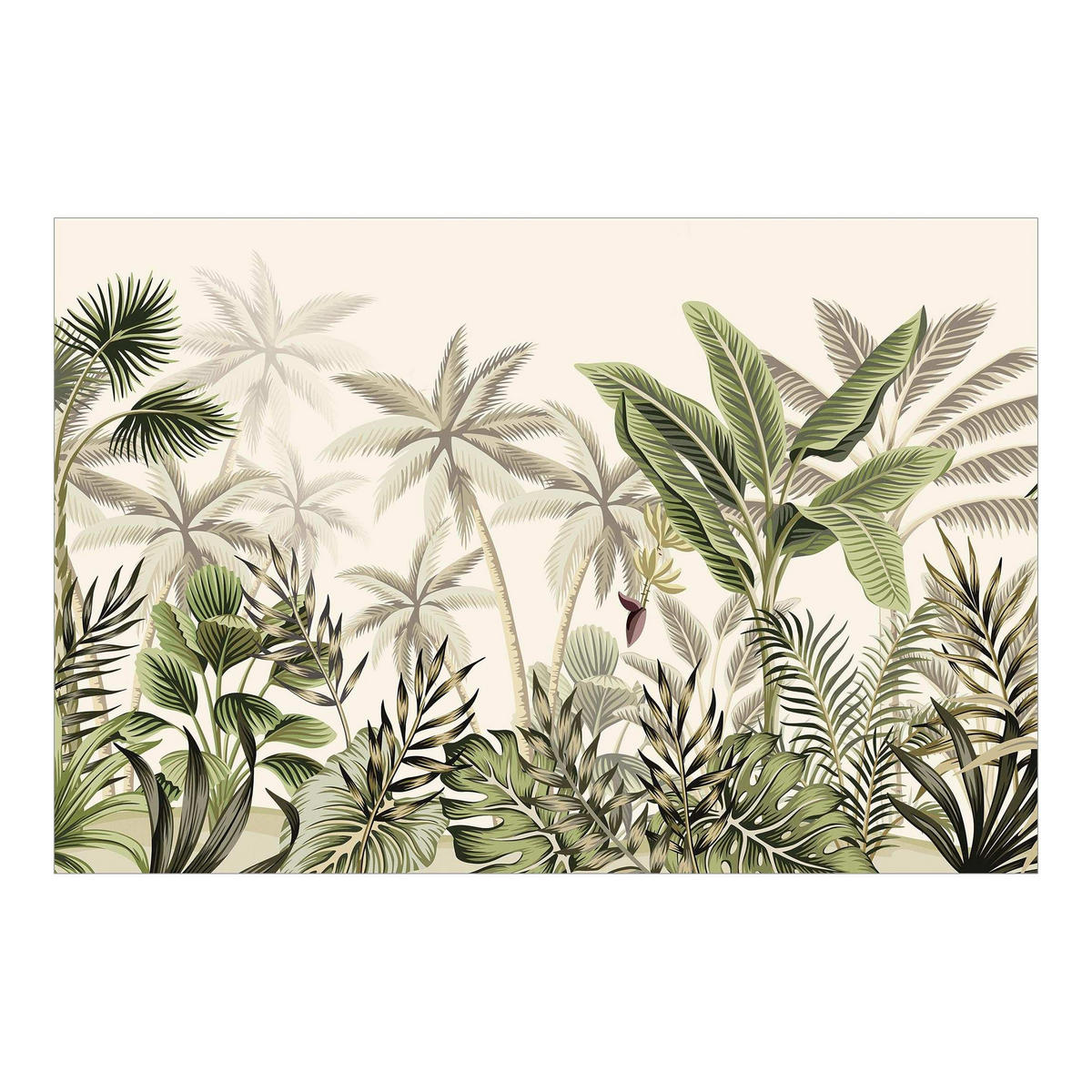 FOTOTAPETE Palmen im Dschungel 432/290 cm - Grün, Papier (432/290cm) - Bilderwelten