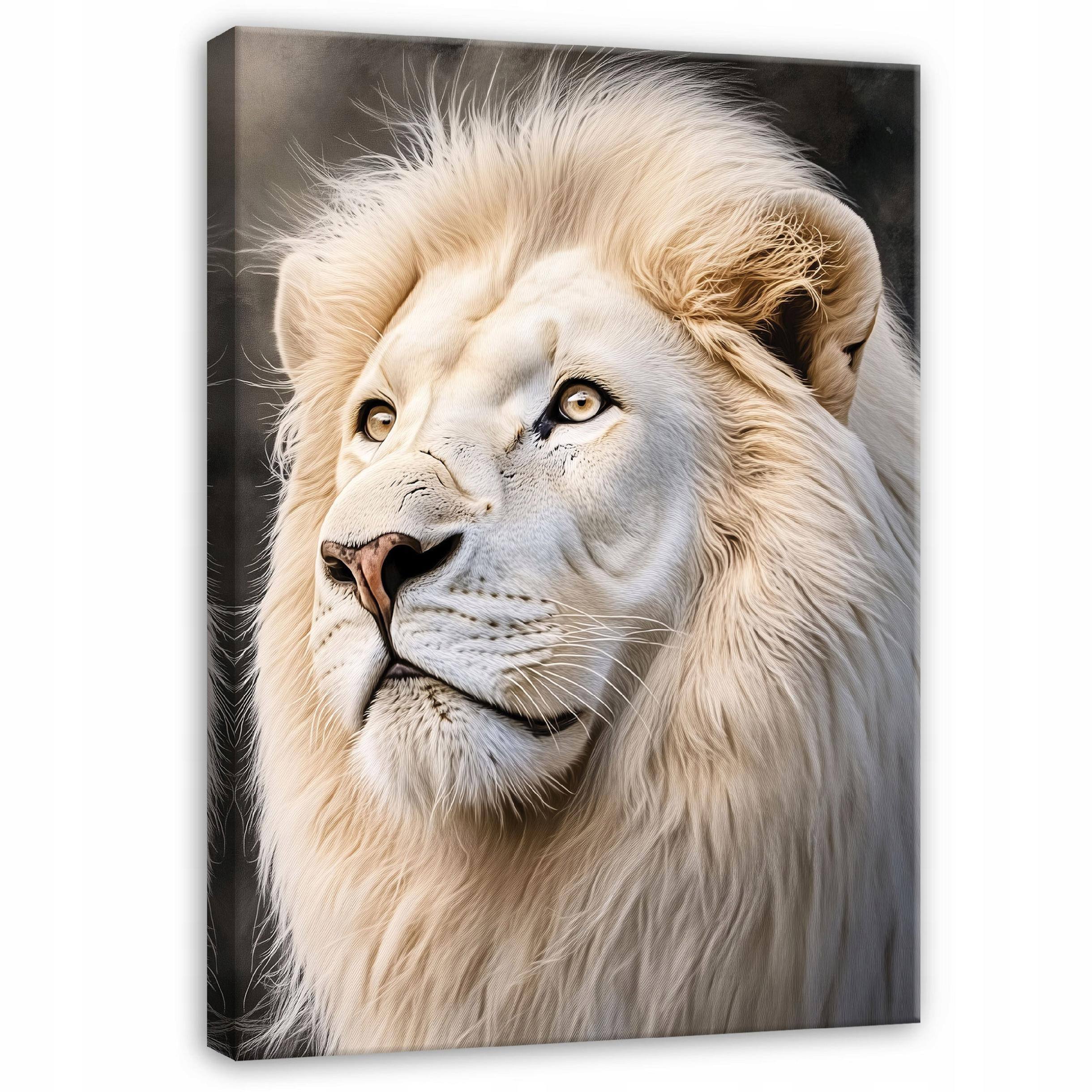 BILDER Löwe Weiß Tiere Modern 60x40 - Multicolor, Holzwerkstoff (40/60cm) - Wallarena