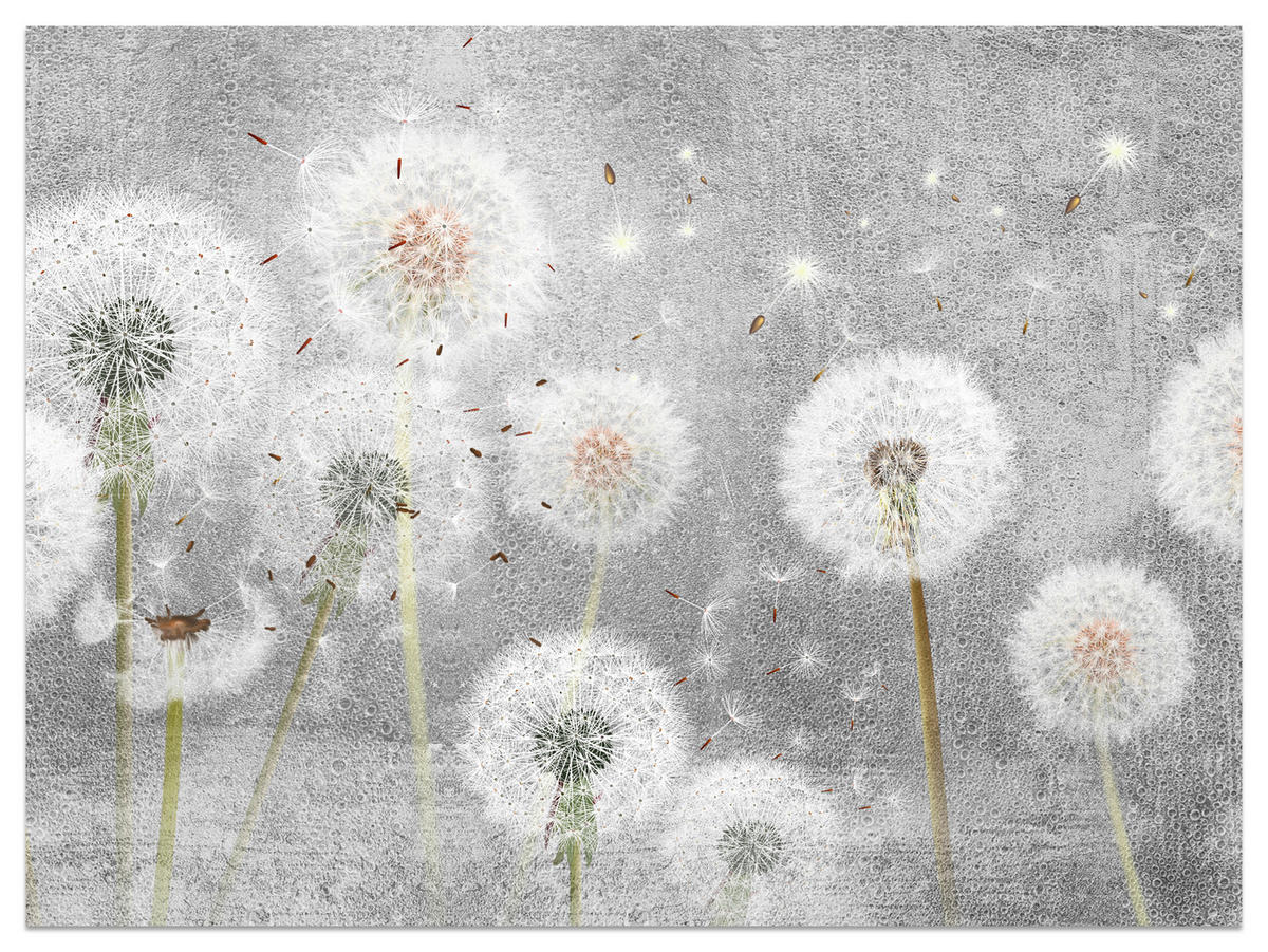 FOTOTAPETE für Schlafzimmer Retro Löwenzahn Beton Minimalistisch 450x315 - Gelb/Weiß, Papier (450/315cm) - Muralo