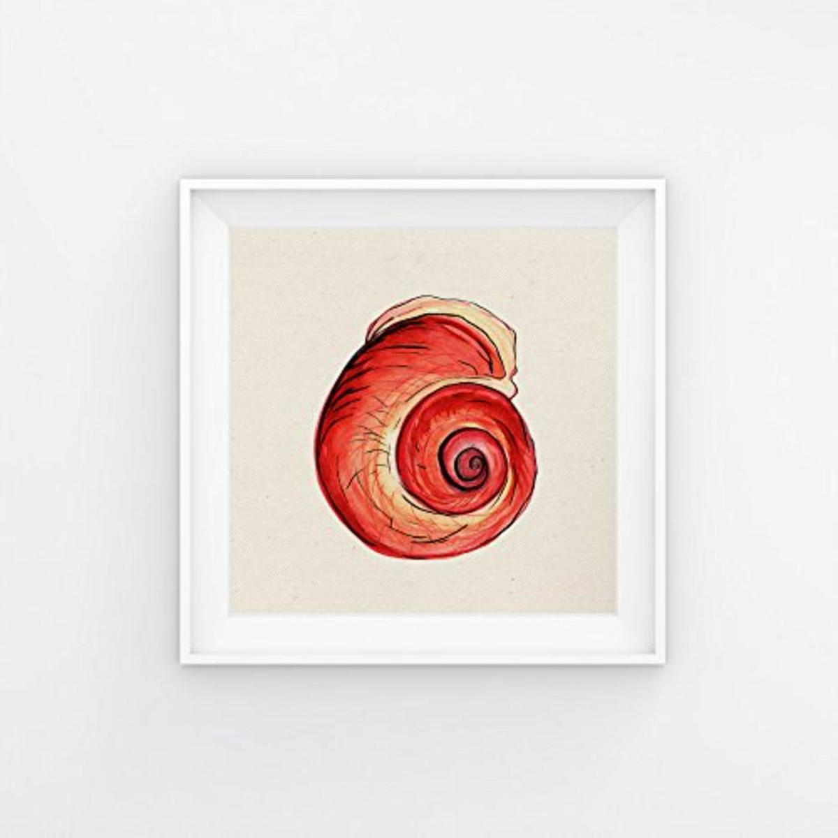 POSTER Set mit 4 Bunte Muscheln 25x25 cm Schwarzer Rahmen - Schwarz, Papier (25/3cm) - Nacnic