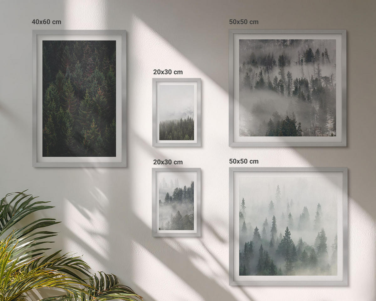 WANDBILDER 5er Set - 50x50 cm & 20x30 cm & 40x60 cm Silberner Rahmen - Grüne Wälder, neblige Landschaft - Silberfarben, Kunststoff (40/60cm) - ArtPrintCave