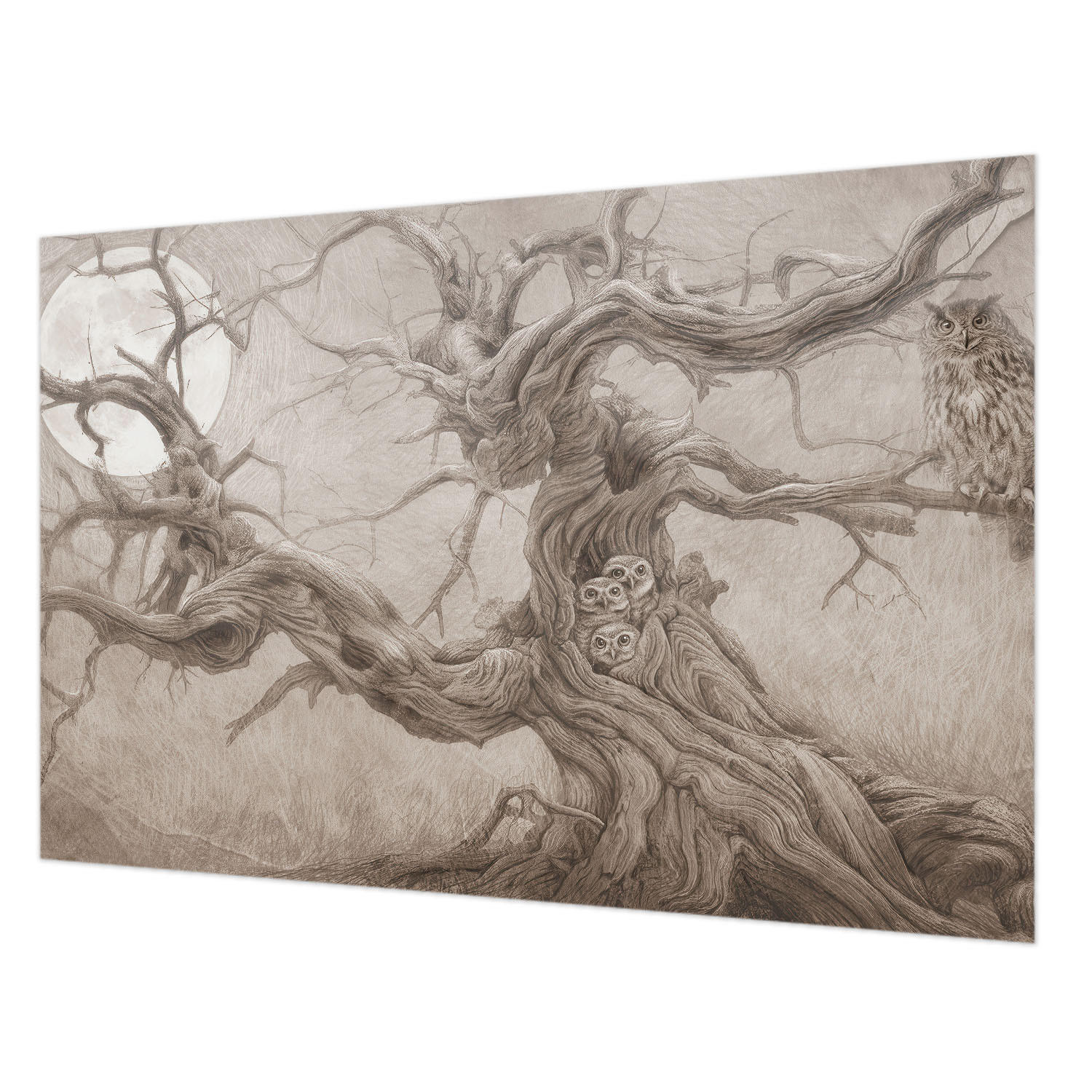 FOTOTAPETE 104x70 cm - Nachtvögel - Beige, Textil (104/70cm) - Wallfluent