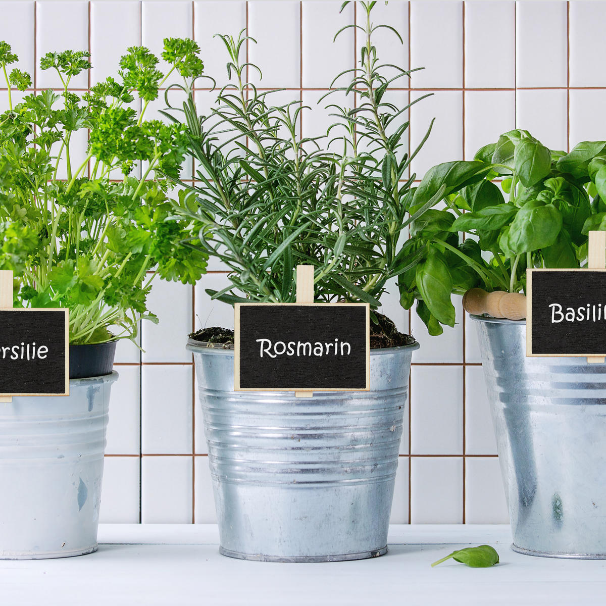 20XKOPČE - svijetlo smeđa, drvo (7.5/7/1.5cm) - Relaxdays