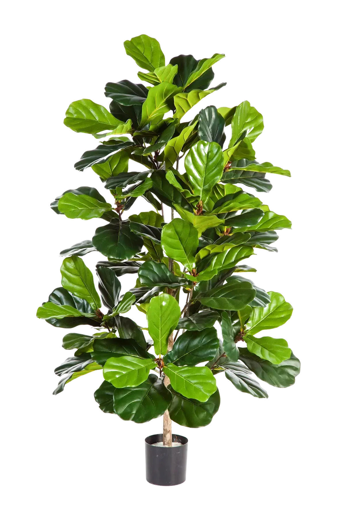 KUNSTBAUM Künstlicher Geigenfeigen Busch - Lina 130 cm - Grün, Kunststoff (130cm) - aplanta