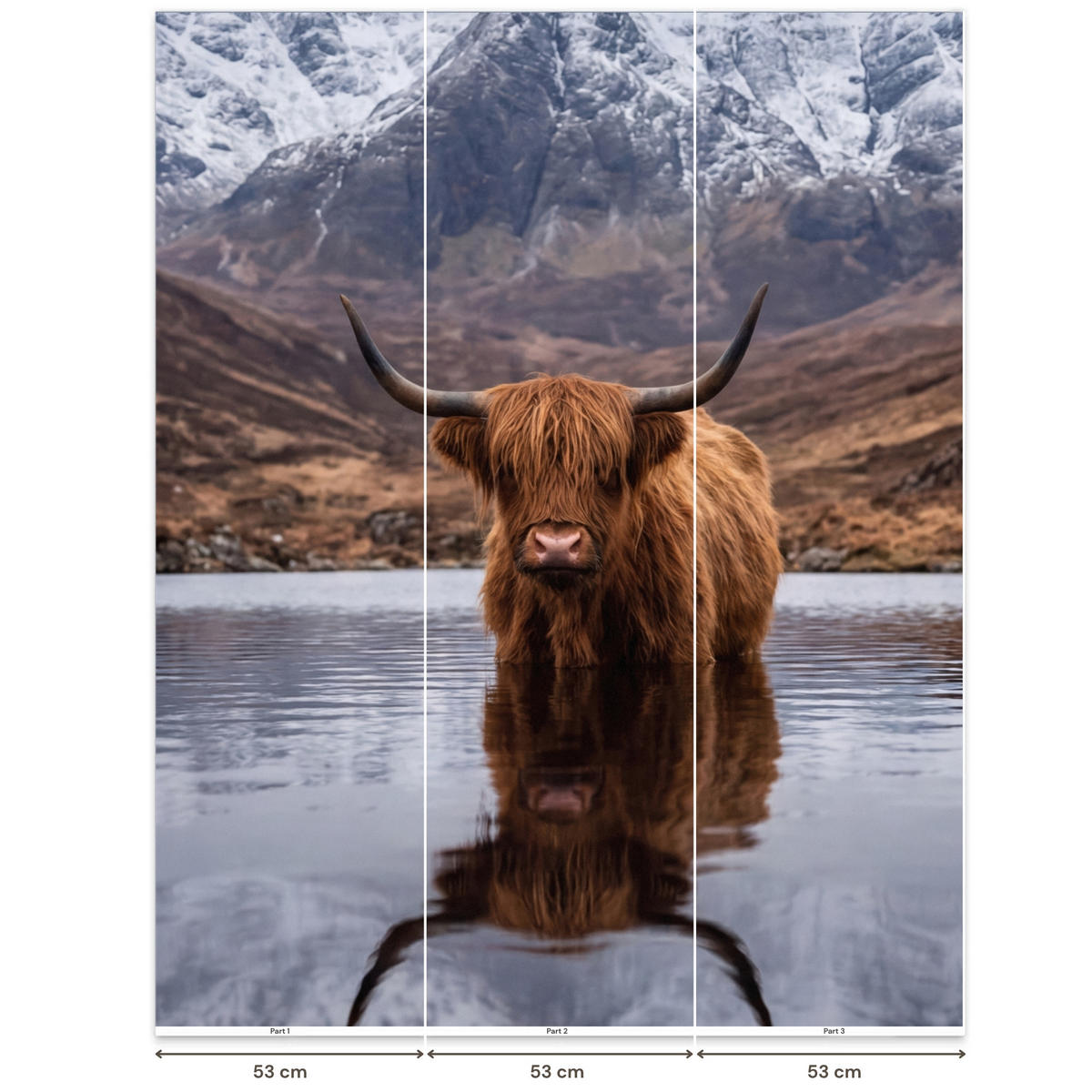 TAPETE - Schottischer Hochländer - Braun - Wasser - 180x200 cm - Braun, Papier (180/200cm) - OnlyWow