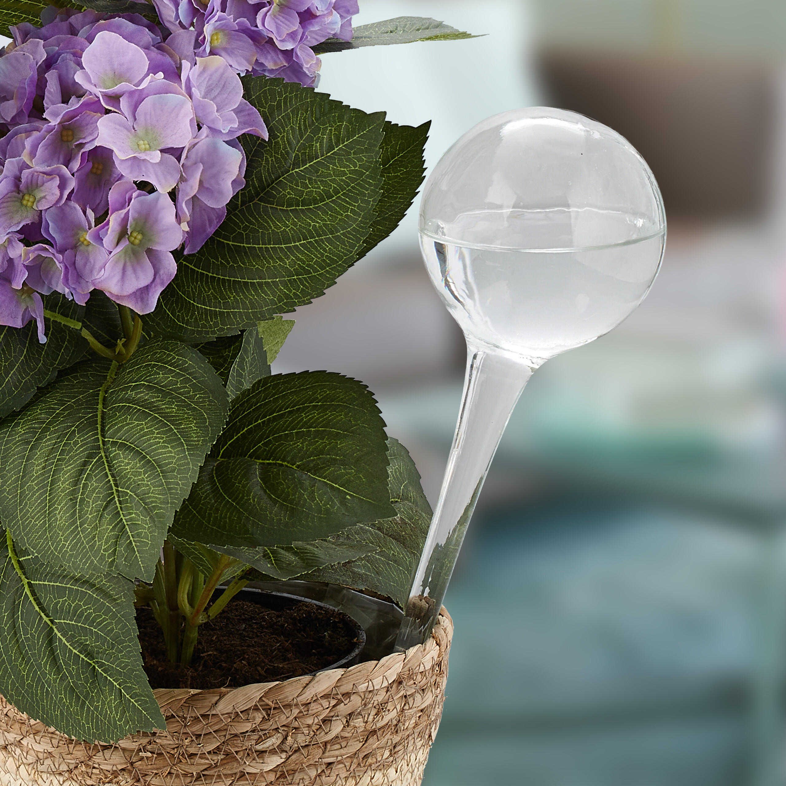 2XBEWÄSSERUNGSKUGEL - Transparent, Glas (9/30/9cm) - Relaxdays