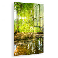 ACRYLGLASBILD Wald - Landschaft - Wasser - Bäume - Sonne - Grün - Natur 60x90 cm - Grün, Glas (60/90cm) - MuchoWow