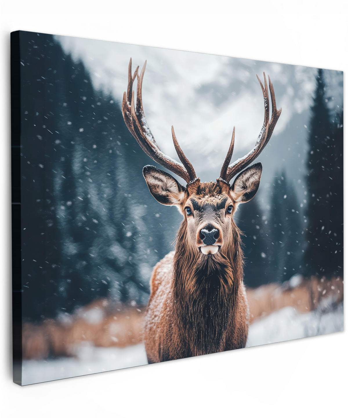 LEINWANDBILD Hirsche - Tiere - Landschaft - Winter - Schnee Wandbilder 80x60 cm - Kastanienfarben, Textil (80/60cm) - MuchoWow