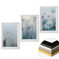 WANDBILDER 3er-Set - 40x60 cm Weißer Rahmen - Löwenzahn mit Wassertropfen - Weiß, Kunststoff (40/60cm) - ArtPrintCave
