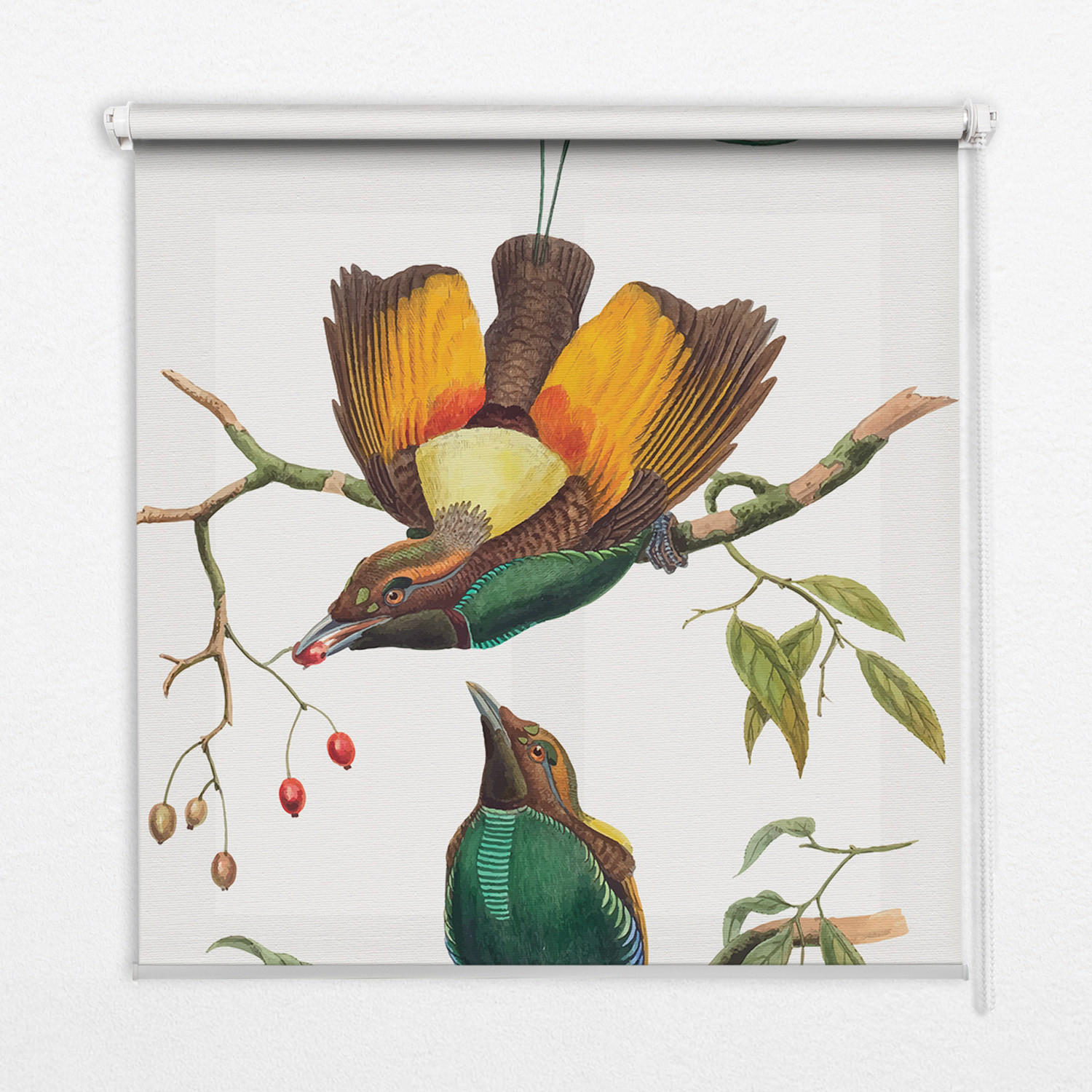 TULUP VNITŘNÍ roleta - okenní roleta - roleta - 140x140 cm - Ptáci na větvi
