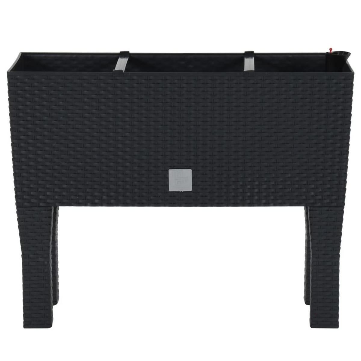 HOCHBEET Anthrazit 60x25x46 cm PP-Rattan - Anthrazit, Kunststoff (60/46/25cm)