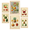 POSTER Set Mit 6 Gesund In Vintage A3 & A4 Rahmen Aus Hellem Holz - Beige, Papier (29/3cm) - Nacnic