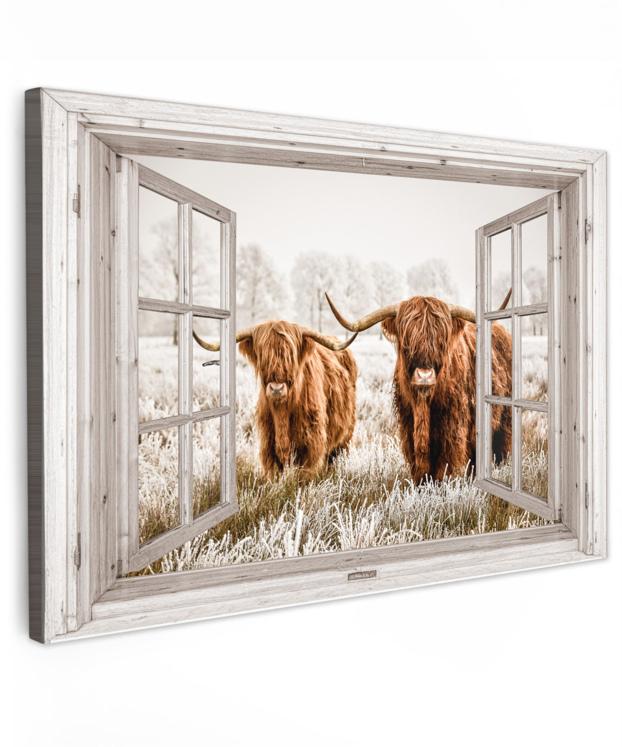 LEINWANDBILD Durchblick - Schottische Highlander - Tiere 90x60 cm - Hellbraun, Textil (90/60cm) - MuchoWow