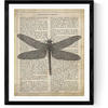 POSTER Vintage Libelle Mit Enzyklopädie Hintergrund. Wanddekoration Im Sepiatöne Und Retro-Stil. A4 Rahmenlos - Klar, Papier (29.7/5/21cm) - Nacnic