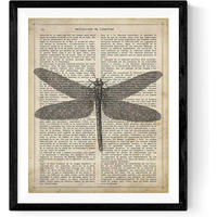 POSTER Vintage Libelle Mit Enzyklopädie Hintergrund. Wanddekoration Im Sepiatöne Und Retro-Stil. A4 Rahmenlos - Klar, Papier (29.7/5/21cm) - Nacnic