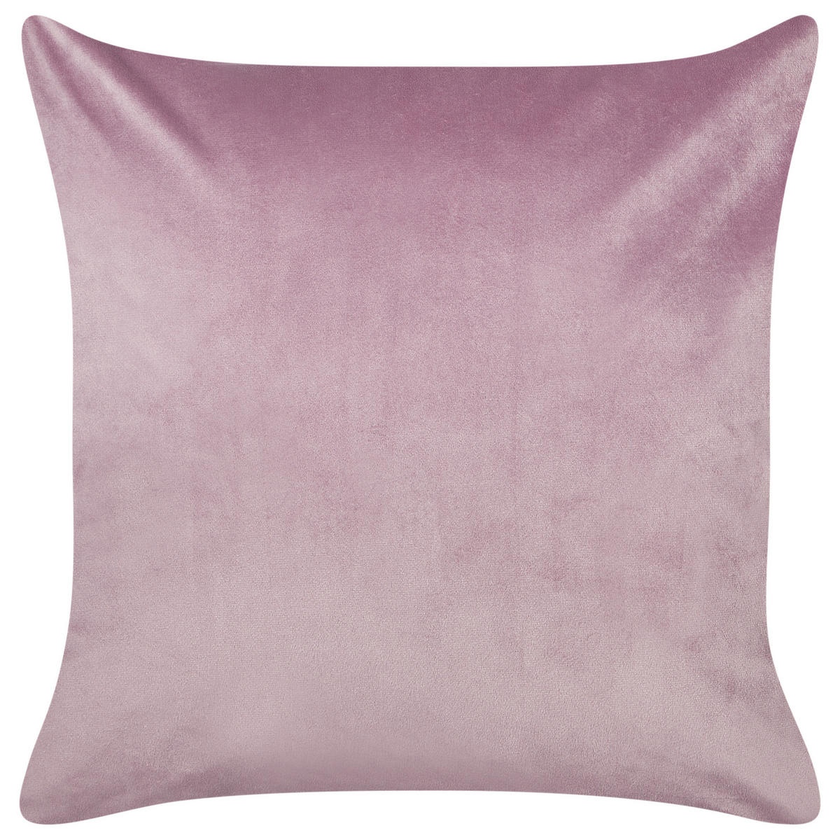 DEKOKISSEN 2er-Set Violett 45/45 cm Echinacea - Violett, Textil (45/45cm) - Beliani