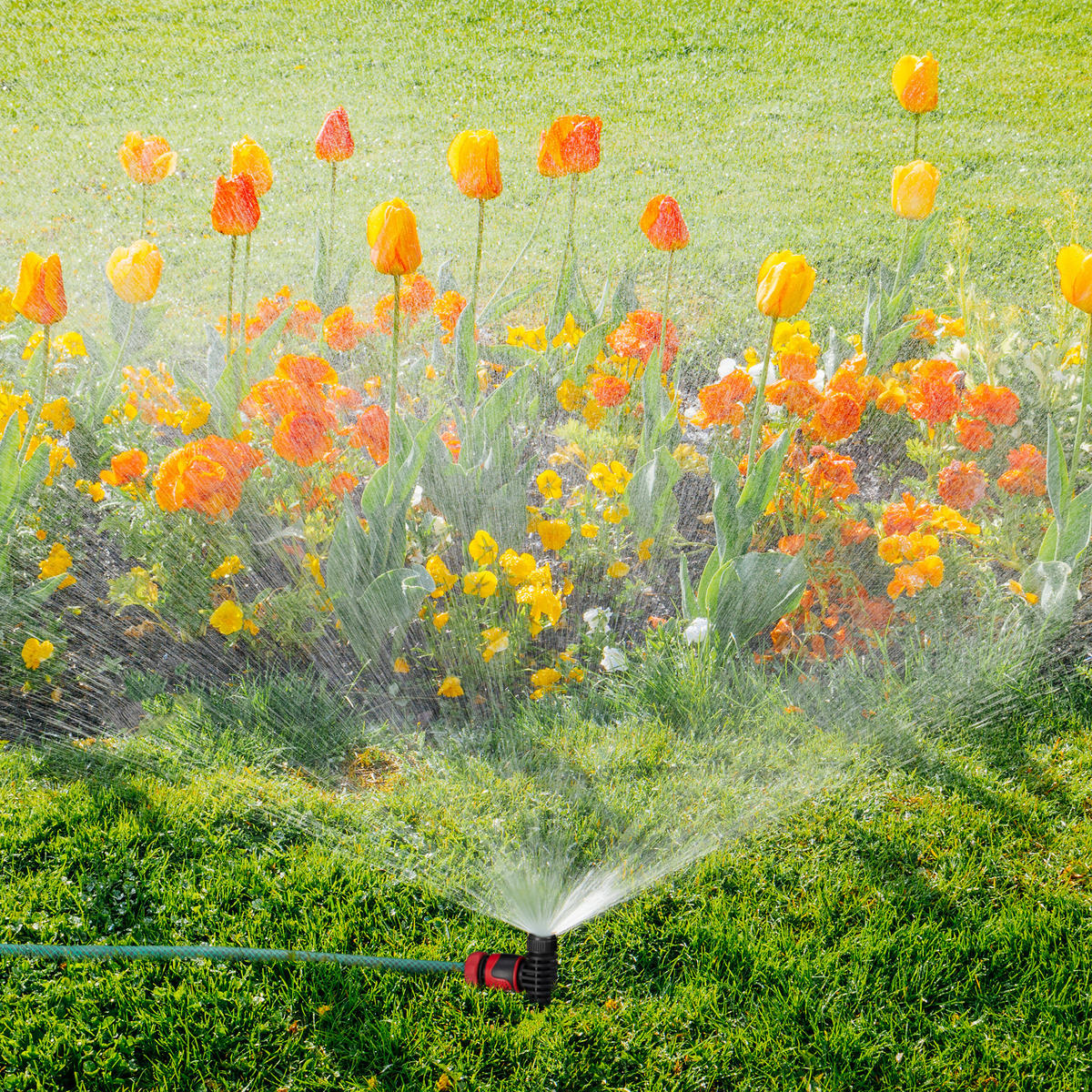 5XSPRÜHREGNER - Schwarz, Kunststoff (6/19/3cm) - Relaxdays