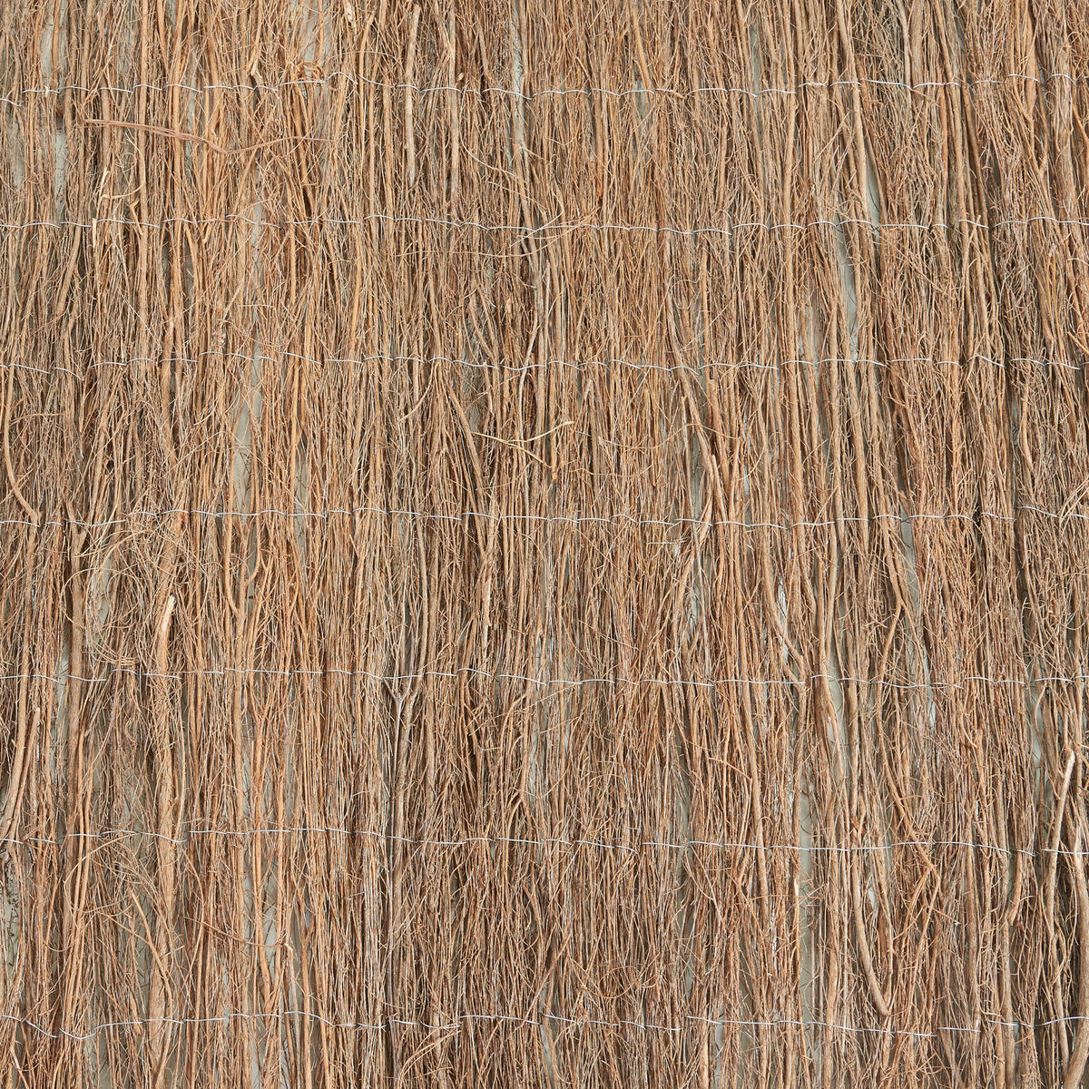 REISIGZAUN Brielle - Naturfarben, Naturmaterialien (100/0.6cm) - casa.pro