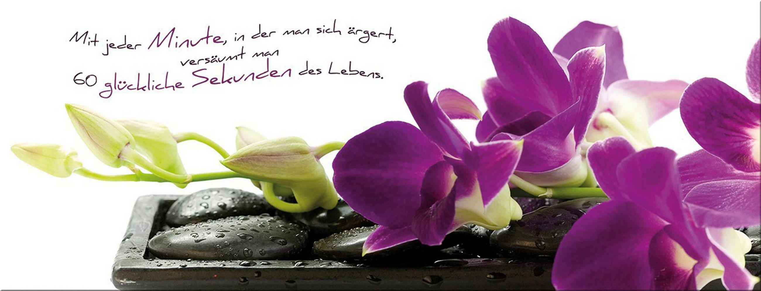 GLASBILD 80x30 cm Spruch Orchidee Lila Grün - Weiß, Glas (80/30cm) - artissimo