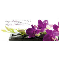 GLASBILD 80x30 cm Spruch Orchidee Lila Grün - Weiß, Glas (80/30cm) - artissimo