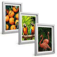 BILDER SET 3er Set - 20x30 cm Silberner Rahmen - Fruchtige Akzente in den Tropen - Silberfarben, Kunststoff (20/30cm) - TULUP