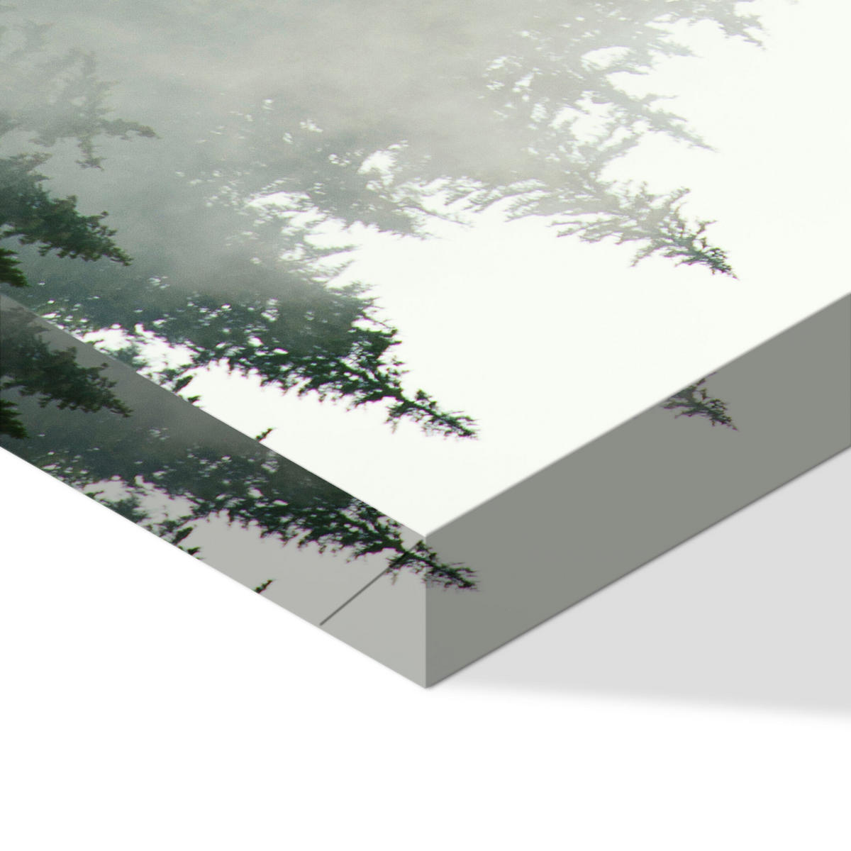 LEINWANDBILD Wald 3-tlg. 90x60 cm - Multicolor, Holz (90/60cm) - LUMASOUL