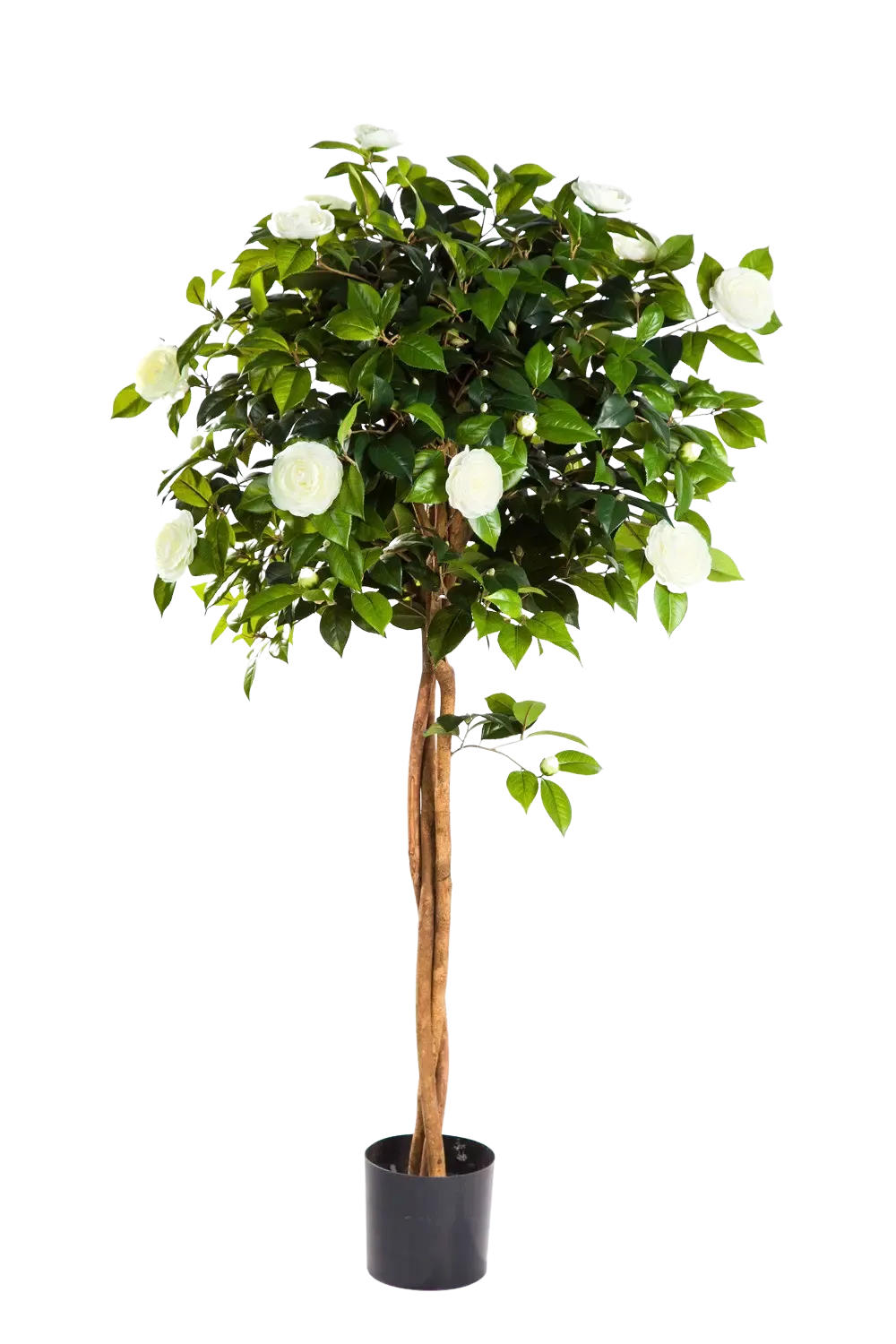 KUNSTBAUM Künstlicher Kamelienbaum - Pina 130 cm - Multicolor, Kunststoff (130cm) - aplanta