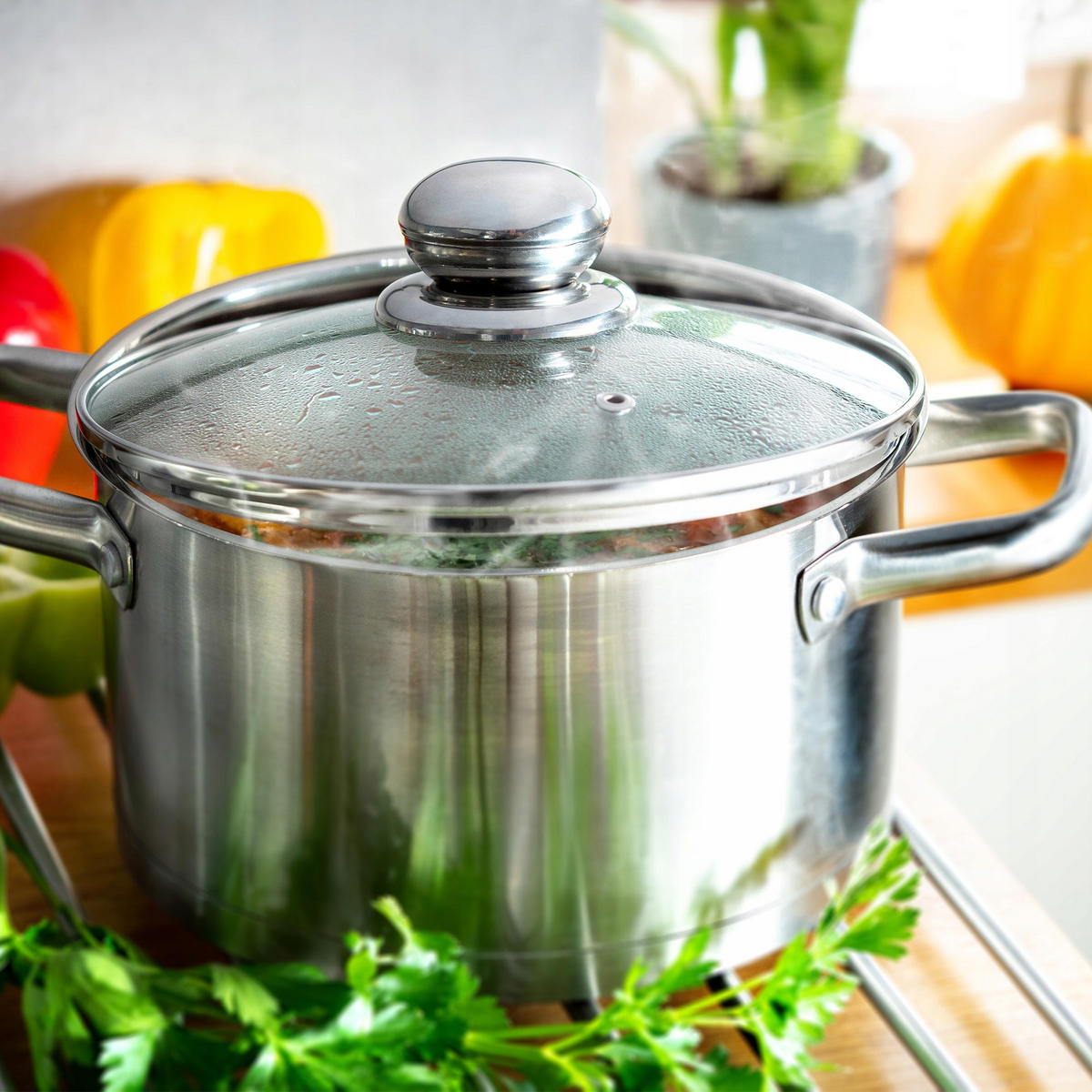 DECKEL mit Metallgriff, 26 cm - Transparent, Glas (26cm) - KADAX