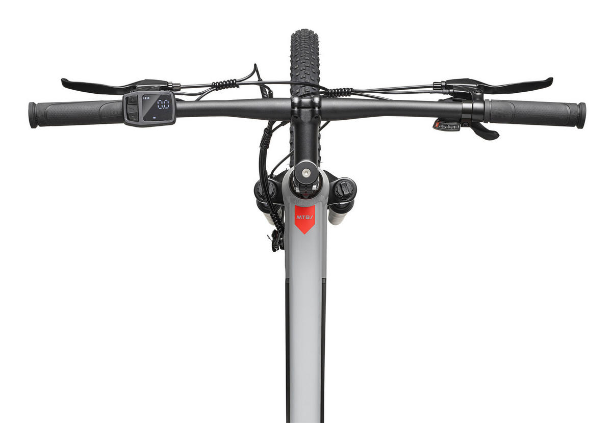 E-BIKE Mountainbike Aufsteiger M921 | Für Damen u. Herren | 468 Wh | Heckmotor | 7-Gang-Kettenschaltung | 29 Zoll - Grau, Metall (114.6cm) - Telefunken