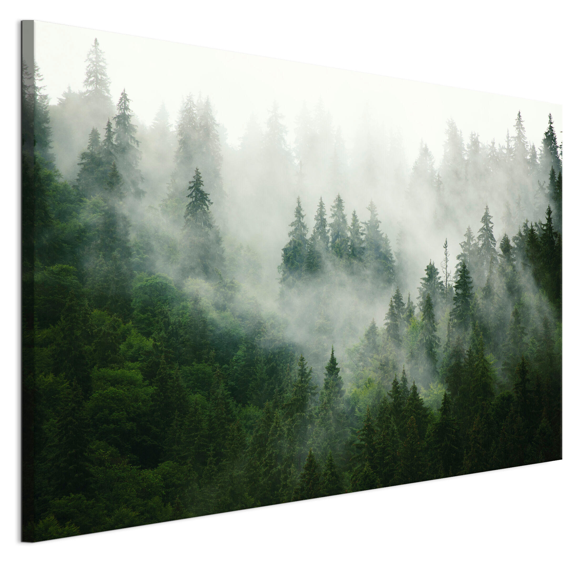 LEINWANDBILD Wald 90x60 cm - Multicolor, Holz (90/60cm) - LUMASOUL