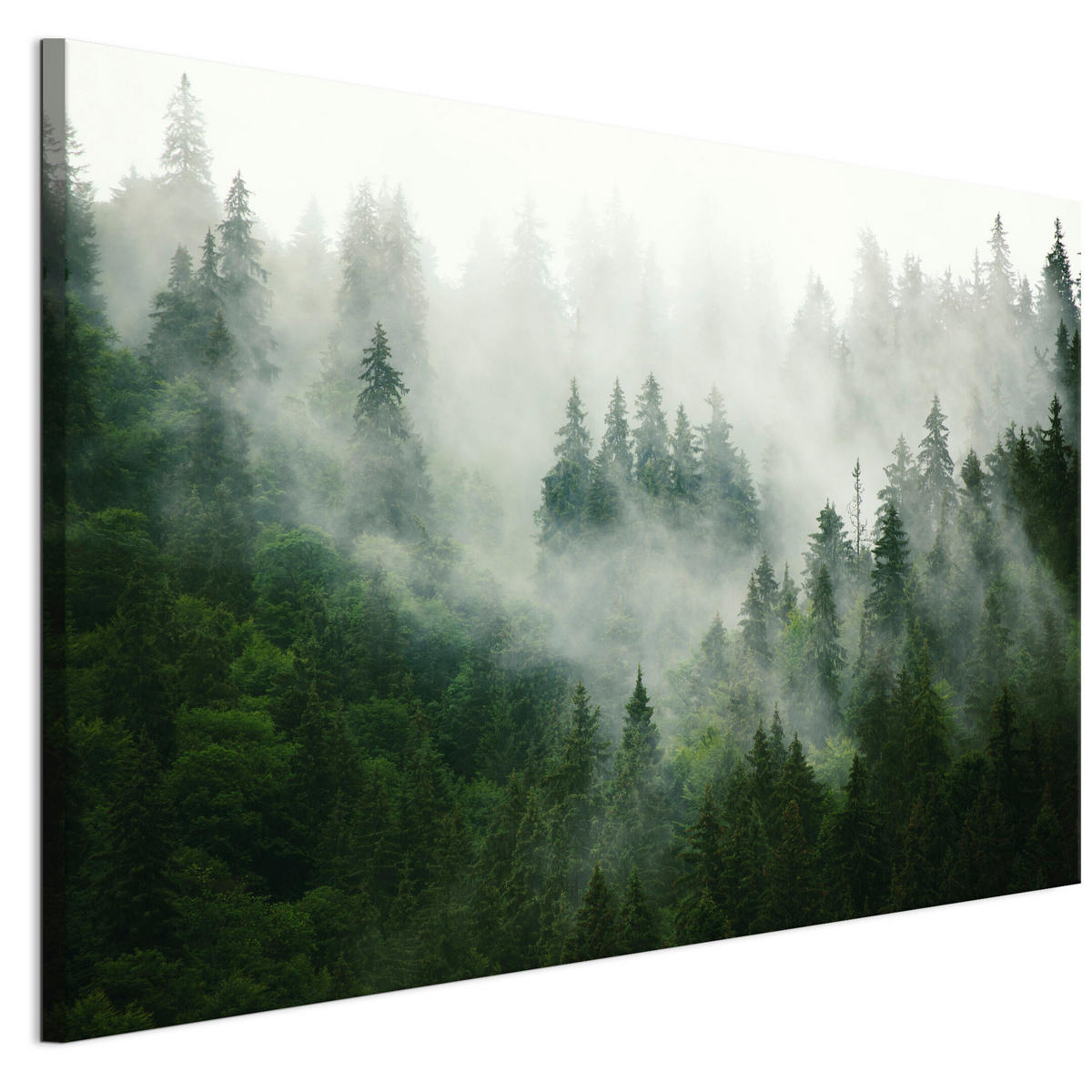 LEINWANDBILD Wald 90x60 cm - Multicolor, Holz (90/60cm) - LUMASOUL