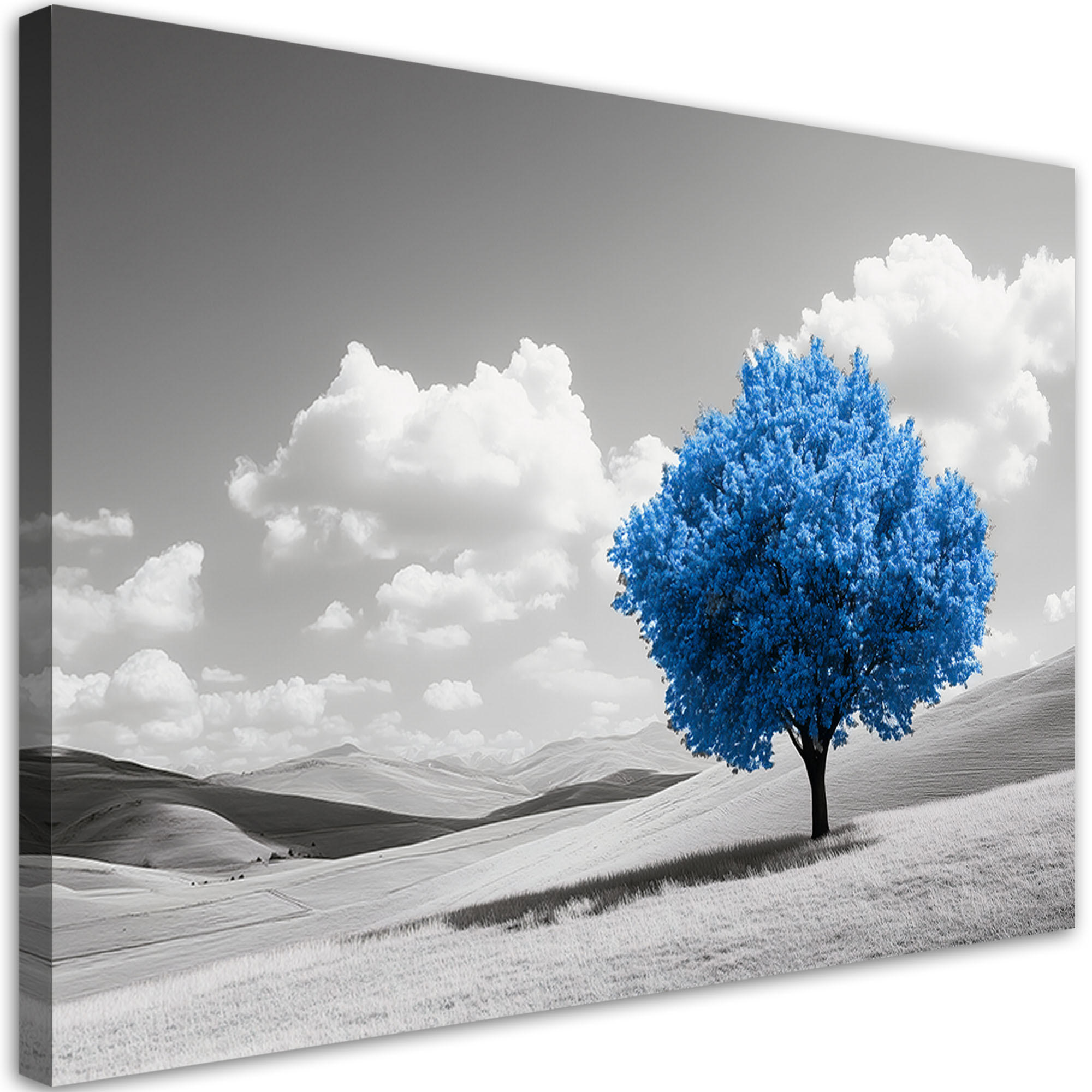 LEINWANDBILD Blaue Baumlandschaft 60x40cm - Blau, Textil (60/40cm) - Feeby