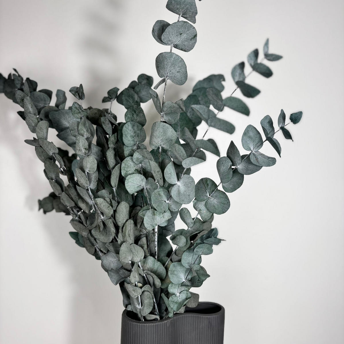 KONSERVIERTER Eukalyptus Cinerea - Ein Hauch von Natur, der bleibt! - rot / 60 cm - Rot, Naturmaterialien (60cm) - Lykke & You