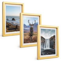 BILDER SET 3er Set - 20x30 cm Goldrahmen - Berglandschaften mit einem Wasserfall - Goldfarben, Kunststoff (20/30cm) - TULUP
