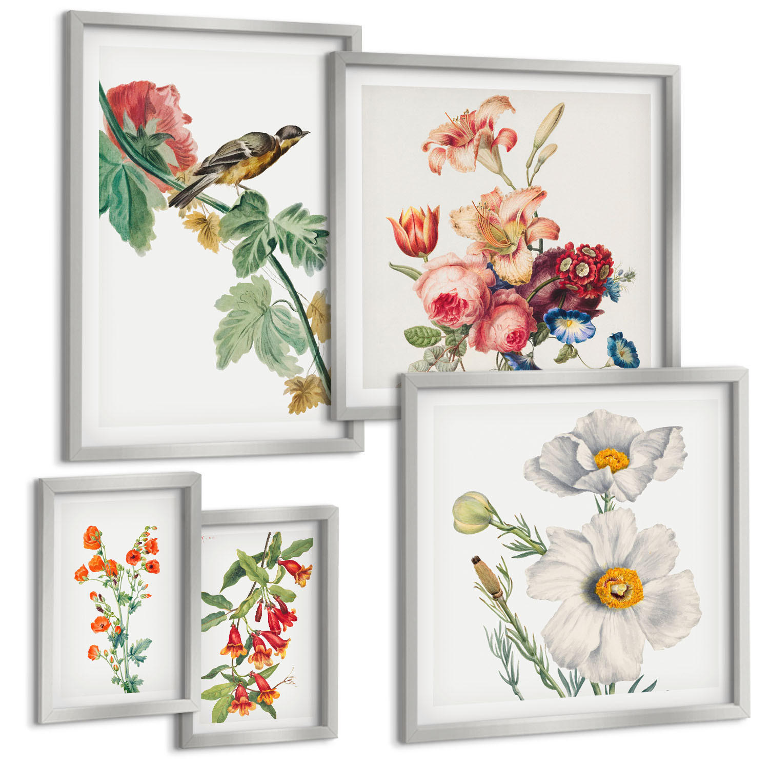 BILDER SET 5er Set - 50x50 cm & 20x30 cm & 40x60 cm Silberner Rahmen - Gemalte Blumen, Retro-Vogel - Silberfarben, Kunststoff (40/60cm) - TULUP